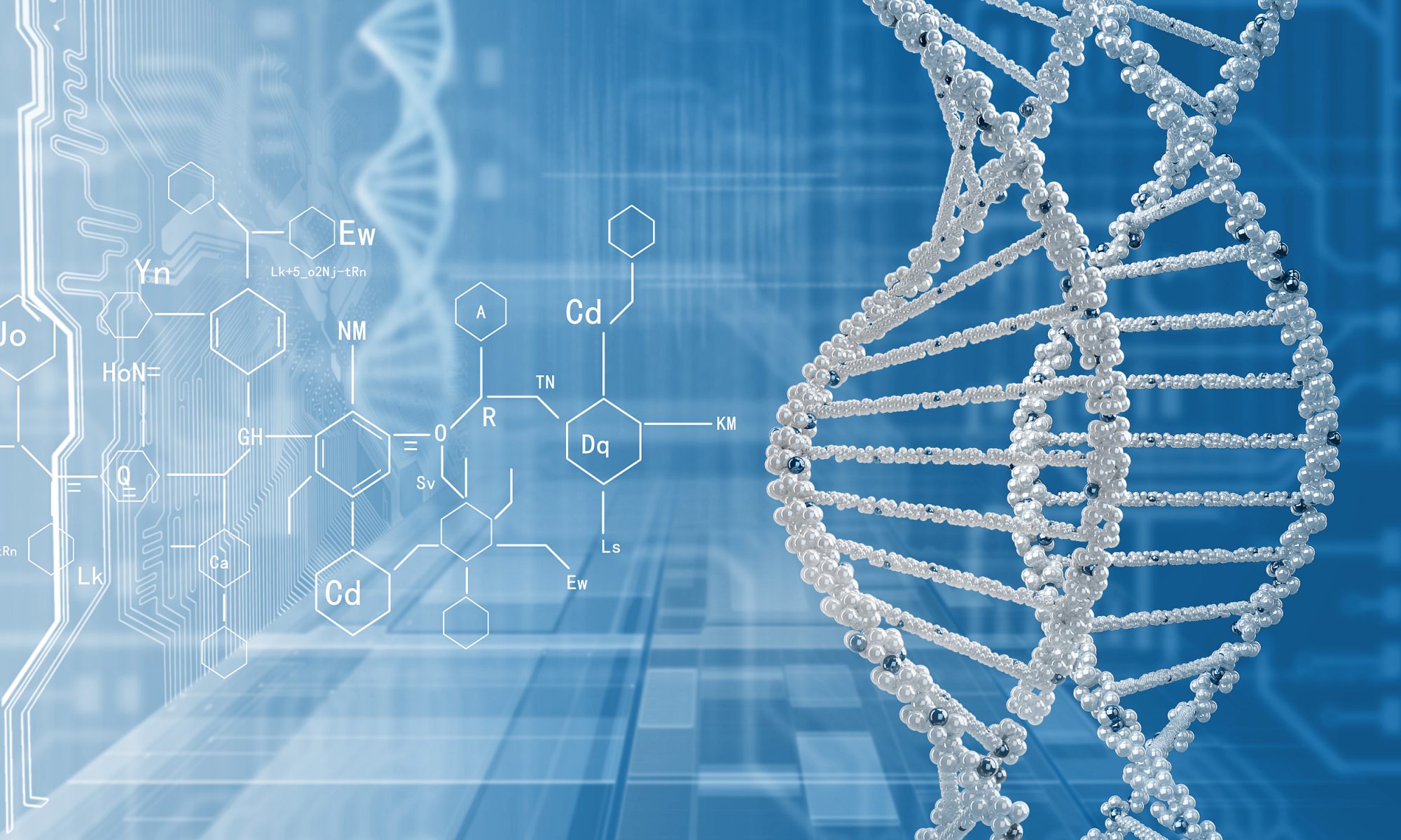 cn – Source Code Capital